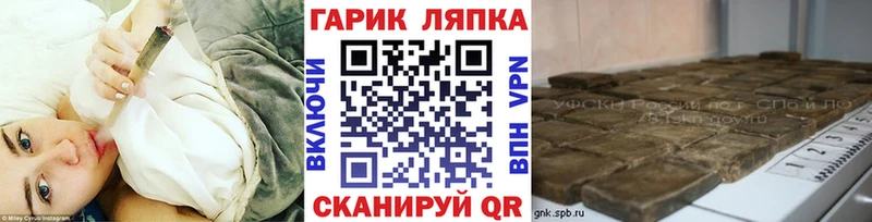 ГАШ Premium  Малгобек 