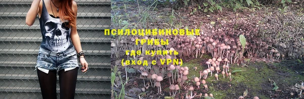 хмурый Киреевск