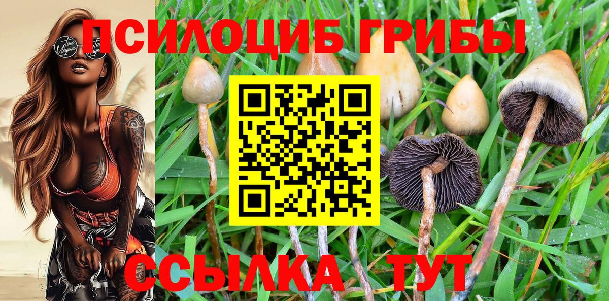 Псилоцибиновые грибы прущие грибы Малгобек