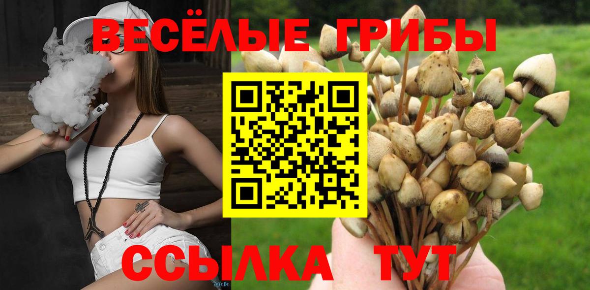 Вейп ТГК  МДМА  LSD-25  A-PVP СОЛЬ кристаллы  Меф   Меф   ГАШИШ  Малгобек  МАРИХУАНА  Конопля 